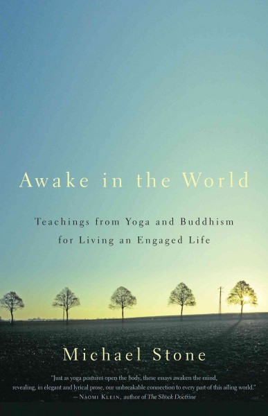 Awake in the world [electronic resource] : teachings from yoga & Buddhism for living an engaged life / Michael Stone.