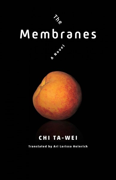 The membranes a novel Chi Ta-wei ; translated by Ari Larissa Heinrich.